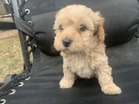 processed/f586fb12-7735-41ba-83fe-bc6d80e95465/listing/f881cac3-eba2-4785-baa6-b6707bd852a7/243b2a7d-2685-4884-ac69-e8ebdb1601ca