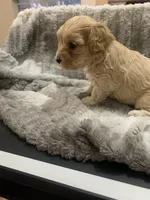 processed/f586fb12-7735-41ba-83fe-bc6d80e95465/listing/f881cac3-eba2-4785-baa6-b6707bd852a7/4828ce2b-131d-495e-99ff-5959575b5094