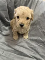 processed/f586fb12-7735-41ba-83fe-bc6d80e95465/listing/f881cac3-eba2-4785-baa6-b6707bd852a7/563d46b7-3a91-4036-9e72-367fda9441ea