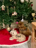 processed/f586fb12-7735-41ba-83fe-bc6d80e95465/listing/f881cac3-eba2-4785-baa6-b6707bd852a7/cdb79dfa-d6af-416d-8779-8d94fbc127ef