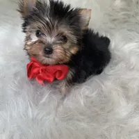 processed/f588bdd9-589c-43d4-aeba-48e34c426c95/facility/d088f523-c163-4bf8-8267-33c99ca47d66