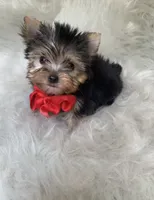 processed/f588bdd9-589c-43d4-aeba-48e34c426c95/facility/d088f523-c163-4bf8-8267-33c99ca47d66