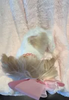 Chrystal Chanel, a female Yorkshire Terrier for sale in Houston, TX – 3 of 6