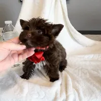 processed/f588bdd9-589c-43d4-aeba-48e34c426c95/listing/346abb6d-35d3-4a68-ad69-b00a569b1258/091a3242-cf6a-4e88-b6b6-4c0556544e74