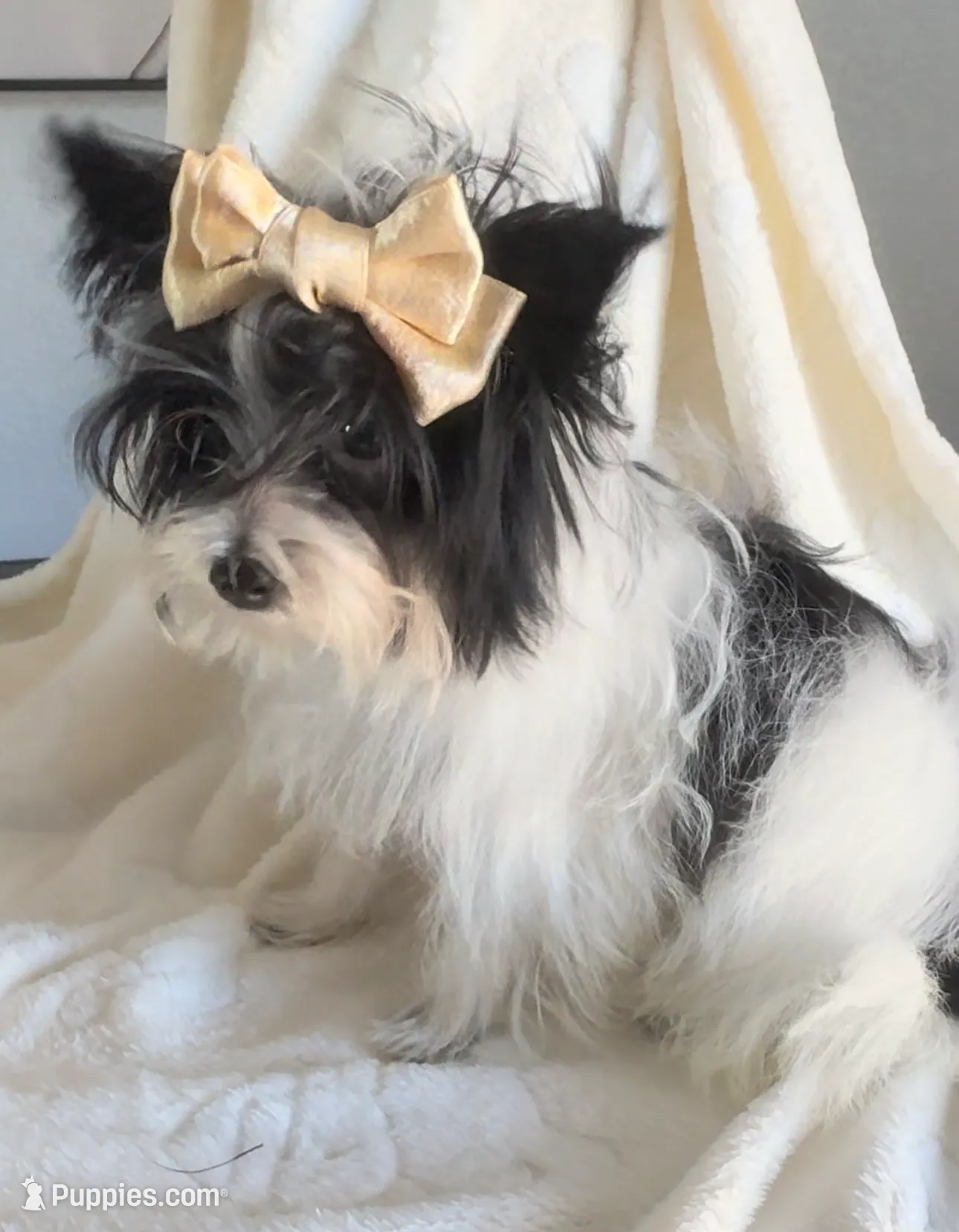 processed/f588bdd9-589c-43d4-aeba-48e34c426c95/listing/73c9fccc-d4fd-48ca-b6d7-31c6c17d9df3/835bc7c6-5c13-4b2e-960b-61366cdb22d6