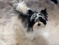 processed/f588bdd9-589c-43d4-aeba-48e34c426c95/listing/73c9fccc-d4fd-48ca-b6d7-31c6c17d9df3/b14edc81-6b88-4767-9755-51e1f4e719cc