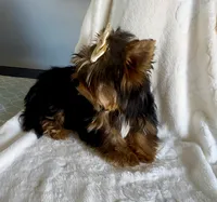 processed/f588bdd9-589c-43d4-aeba-48e34c426c95/listing/f4f087b1-872b-4e18-8eca-cb9eeb3ec15f/6f82dea3-e455-4814-abdd-089c13df41e8