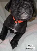 processed/f58c0a48-402e-452a-83ce-117dc26adab9/listing/21ae1881-7ef9-4e6b-90f8-f5a2b424c739/843f8fb4-d727-4773-b38f-fcade0de8c7a