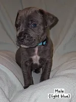 processed/f58c0a48-402e-452a-83ce-117dc26adab9/listing/31a2e9f7-9ef6-4128-a8af-25010f9bf561/c623f749-f984-44d5-9410-fc39960f61f1