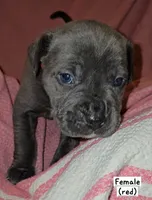 processed/f58c0a48-402e-452a-83ce-117dc26adab9/listing/5512a6f7-dc23-46b0-9935-b7fcd8544c47/3f25bf87-5c84-4410-9bb5-04e5e697978c