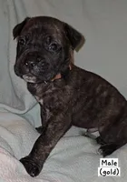 processed/f58c0a48-402e-452a-83ce-117dc26adab9/listing/62d246d1-3972-46f8-8fc2-a0bebafb99aa/a60010a0-900b-42e7-8217-4f0206368bda