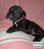 processed/f58c0a48-402e-452a-83ce-117dc26adab9/listing/7073bf0c-a631-4501-9495-ca2918315e41/eabdc5cd-3943-45b2-b77b-637c5f7e3c88