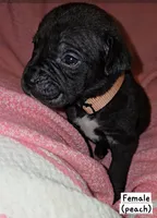 processed/f58c0a48-402e-452a-83ce-117dc26adab9/listing/92c9241e-658b-461e-95b8-31d292d79780/daa18fb4-f450-4ced-ab64-c8beb5a7938d