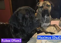 processed/f58c0a48-402e-452a-83ce-117dc26adab9/listing/97440efd-9416-4a3d-9043-9dd1d392ee17/d40c9653-52fb-4d21-9e4c-c17660d888e7