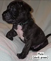 processed/f58c0a48-402e-452a-83ce-117dc26adab9/listing/e6126f64-50b6-48ab-a3c8-bc6ebe59032b/6d9e70c0-e574-4526-81fe-2978218d755e