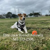 processed/f59663dc-cbd2-4724-a1e9-054de56bcf10/facility/1c55c663-57f1-407e-ac4c-4b6cdfa781a5