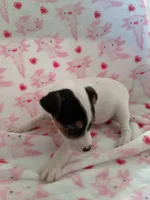 processed/f59663dc-cbd2-4724-a1e9-054de56bcf10/listing/30aa383e-1035-4b6b-abe7-0761e821dfd7/64e2de88-86fc-4d56-bf1e-de4104f0a57e