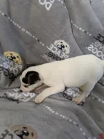 processed/f59663dc-cbd2-4724-a1e9-054de56bcf10/listing/62fe002c-004d-44c4-a15d-8b4fe8511cfd/8a27aa45-5ad4-45d1-a820-b4283d7cc269