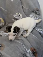 processed/f59663dc-cbd2-4724-a1e9-054de56bcf10/listing/62fe002c-004d-44c4-a15d-8b4fe8511cfd/940ea85d-4f93-4355-bf05-02256df6241b