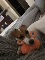 processed/f59663dc-cbd2-4724-a1e9-054de56bcf10/listing/663c3428-bd28-4304-8aa9-9d391cfe2d57/1bce63fb-6bc9-4325-9427-b57bde54caa3