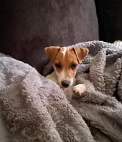 processed/f59663dc-cbd2-4724-a1e9-054de56bcf10/listing/663c3428-bd28-4304-8aa9-9d391cfe2d57/1d6e2e9e-3bf3-4636-88aa-9508c0181ca8