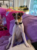 processed/f59663dc-cbd2-4724-a1e9-054de56bcf10/listing/663c3428-bd28-4304-8aa9-9d391cfe2d57/69cb0e0f-c561-4f85-8702-5e41e3968da5