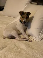 processed/f59663dc-cbd2-4724-a1e9-054de56bcf10/listing/663c3428-bd28-4304-8aa9-9d391cfe2d57/9b8b29bb-8121-4cff-8bdc-de565927004f