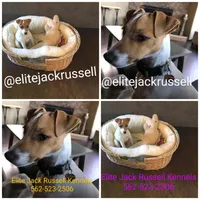 processed/f59663dc-cbd2-4724-a1e9-054de56bcf10/listing/663c3428-bd28-4304-8aa9-9d391cfe2d57/cd7c6a6b-53fd-4e08-b2c2-caac6191d9f8