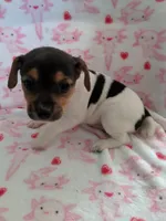 processed/f59663dc-cbd2-4724-a1e9-054de56bcf10/listing/68dd9190-7165-45eb-9010-da2815e5839e/334d735f-901b-42ea-a9cf-08bc2f2a6fc7