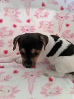 processed/f59663dc-cbd2-4724-a1e9-054de56bcf10/listing/68dd9190-7165-45eb-9010-da2815e5839e/514bdc1d-c5b8-4299-9221-7f796d8a6e3b