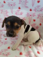 processed/f59663dc-cbd2-4724-a1e9-054de56bcf10/listing/68dd9190-7165-45eb-9010-da2815e5839e/70c60308-5cf6-4ef6-95fb-67e080187409