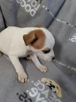 processed/f59663dc-cbd2-4724-a1e9-054de56bcf10/listing/af08645e-c500-4d1e-b1ac-f1da10a49c9f/ea3950cc-102d-40a1-89cb-5987d7ee2d5e