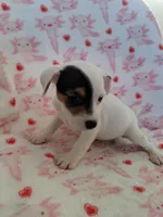 processed/f59663dc-cbd2-4724-a1e9-054de56bcf10/listing/d608b927-ffca-45a5-bc1f-457180645ce0/a7da9b3f-6dbb-4df7-969a-9b02d53b669f