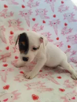 processed/f59663dc-cbd2-4724-a1e9-054de56bcf10/listing/d608b927-ffca-45a5-bc1f-457180645ce0/a944d19f-a5d7-4736-b3e6-e5b548f5ca72