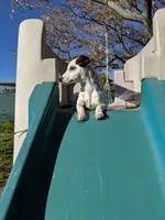 processed/f59663dc-cbd2-4724-a1e9-054de56bcf10/listing/fbe8629b-ba5a-4e3d-b6aa-d9ab89d9a499/06e63a6f-7c44-4283-b3da-4ba9fa621641