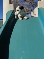 processed/f59663dc-cbd2-4724-a1e9-054de56bcf10/listing/fbe8629b-ba5a-4e3d-b6aa-d9ab89d9a499/825884b3-48fc-4f82-8a29-f48c8cfdef38