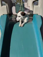 processed/f59663dc-cbd2-4724-a1e9-054de56bcf10/listing/fbe8629b-ba5a-4e3d-b6aa-d9ab89d9a499/847d2cb8-ac69-4987-a327-a74656316f02