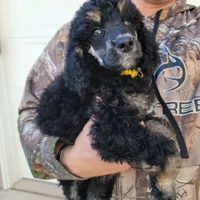 processed/f59fbc7c-ff8b-41a9-b70f-d448c6d3e55d/facility/10539541-6f89-47a7-8967-07490c95406f