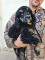 processed/f59fbc7c-ff8b-41a9-b70f-d448c6d3e55d/facility/10539541-6f89-47a7-8967-07490c95406f