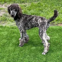 processed/f59fbc7c-ff8b-41a9-b70f-d448c6d3e55d/facility/4f59a4b6-f643-4340-b9ff-a563c5df465b