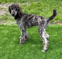 processed/f59fbc7c-ff8b-41a9-b70f-d448c6d3e55d/facility/4f59a4b6-f643-4340-b9ff-a563c5df465b