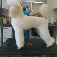 processed/f59fbc7c-ff8b-41a9-b70f-d448c6d3e55d/facility/828b2b1d-c190-4716-97fb-c96bbb993aa6