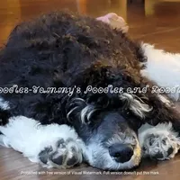 processed/f59fbc7c-ff8b-41a9-b70f-d448c6d3e55d/facility/82b93bc8-b3dd-49df-a8a6-712299c2c99f