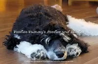 processed/f59fbc7c-ff8b-41a9-b70f-d448c6d3e55d/facility/82b93bc8-b3dd-49df-a8a6-712299c2c99f