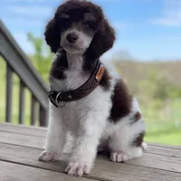 processed/f59fbc7c-ff8b-41a9-b70f-d448c6d3e55d/facility/93f2fa4d-b3f7-43dd-9162-f5c54c437844