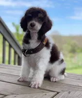 processed/f59fbc7c-ff8b-41a9-b70f-d448c6d3e55d/facility/93f2fa4d-b3f7-43dd-9162-f5c54c437844