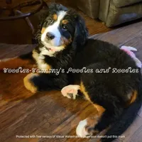 processed/f59fbc7c-ff8b-41a9-b70f-d448c6d3e55d/facility/9e012964-1329-41bd-8e2c-70160c396557