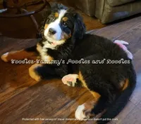 processed/f59fbc7c-ff8b-41a9-b70f-d448c6d3e55d/facility/9e012964-1329-41bd-8e2c-70160c396557