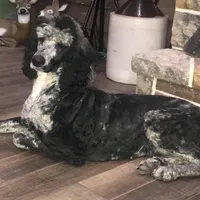 processed/f59fbc7c-ff8b-41a9-b70f-d448c6d3e55d/facility/f77e02a8-25d5-43fd-a555-950a15282cc5