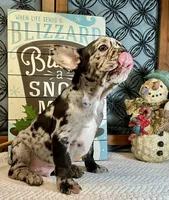 processed/f5a71f13-a99e-4d34-a58c-f5d1ed86915d/listing/e8bd29f3-3883-46b2-9ef6-28ef63e2c1ec/367f2ed8-f428-415f-9b05-e776450bc00e